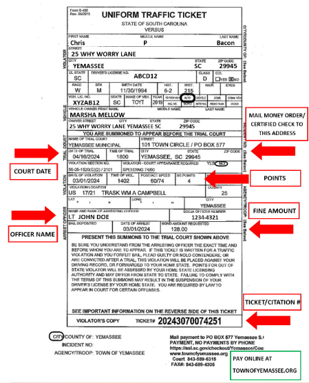 traffic citation example usa
