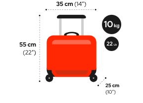 avianca - Información y consejos para tu equipaje