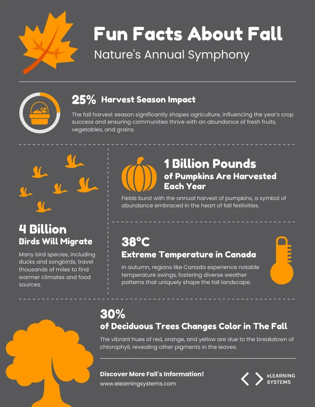 fall FAQ infographic USA