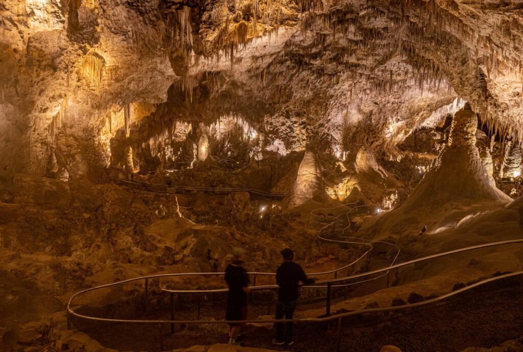 Carlbsbad Caverns Nuevo Mexico