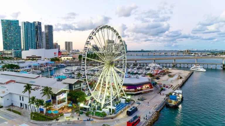 Lugares Turísticos en Miami: Qué Hacer en la Ciudad Mágica con Familia, Pareja o Amigos Playas Icónicas y Parques Naturales en Miami