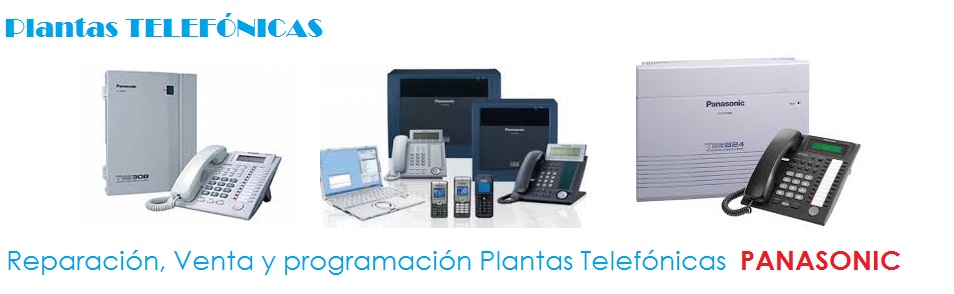 ¿Panasonic ofrece soporte remoto o asistencia por videollamada?