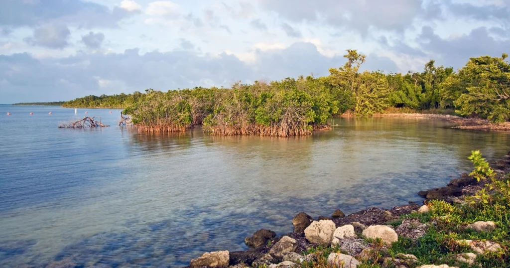 Biscayne parque nacional