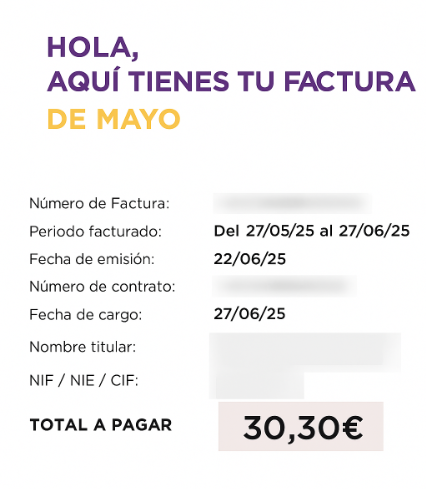 Área cliente Llamaya factura PDF