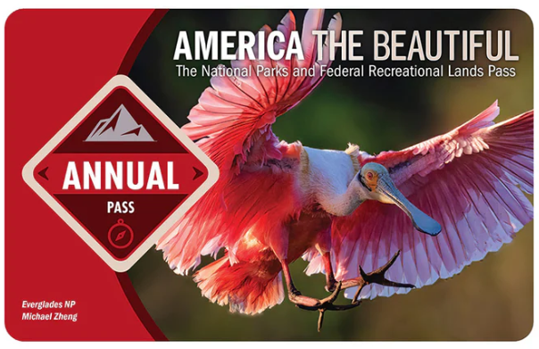 America the Beautiful Pass 2025