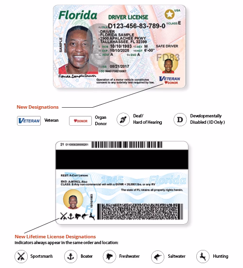 Requisitos oficiales para sacar la licencia de conducir en Florida