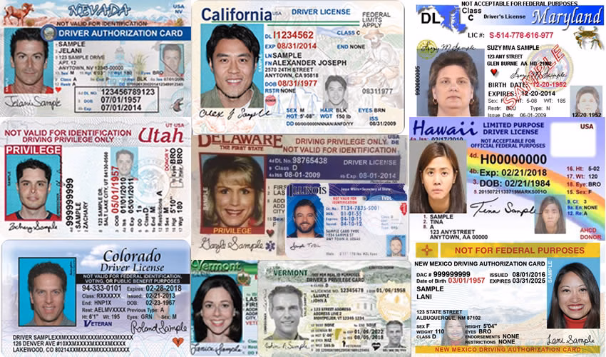 ¿Qué es la licencia de conducir en Estados Unidos y qué tipos existen?