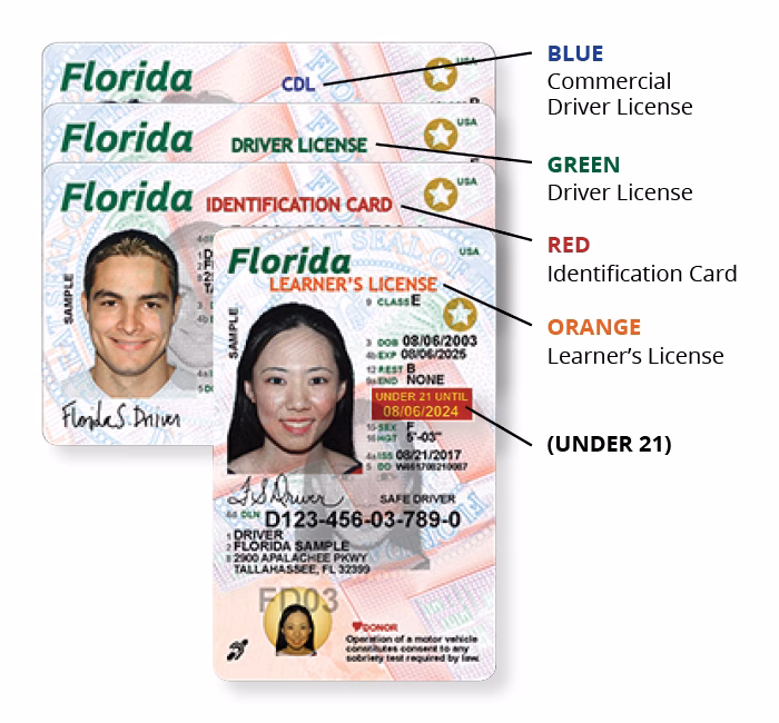 Licencia de conducir en Florida